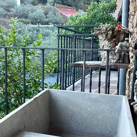 Casa Amparo