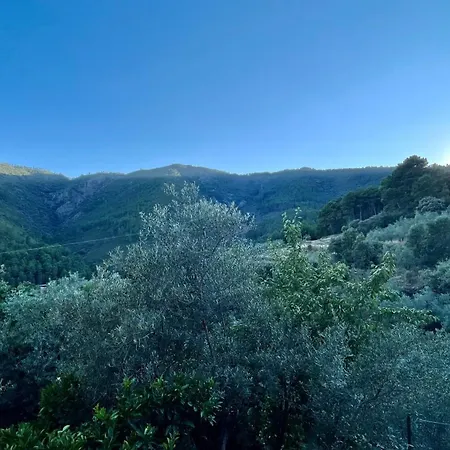 Lägenhet Casa Amparo *